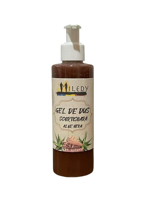 Gel de dus natural / sapun lichid cu Aloe vera si ulei esential de scortisoara