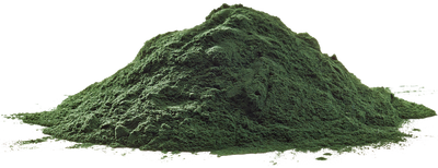 Spirulina
