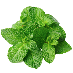 Ulei esential de menta