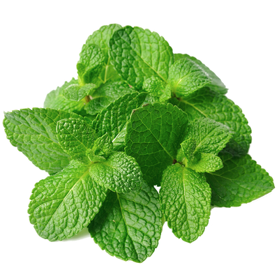 Ulei esential de menta
